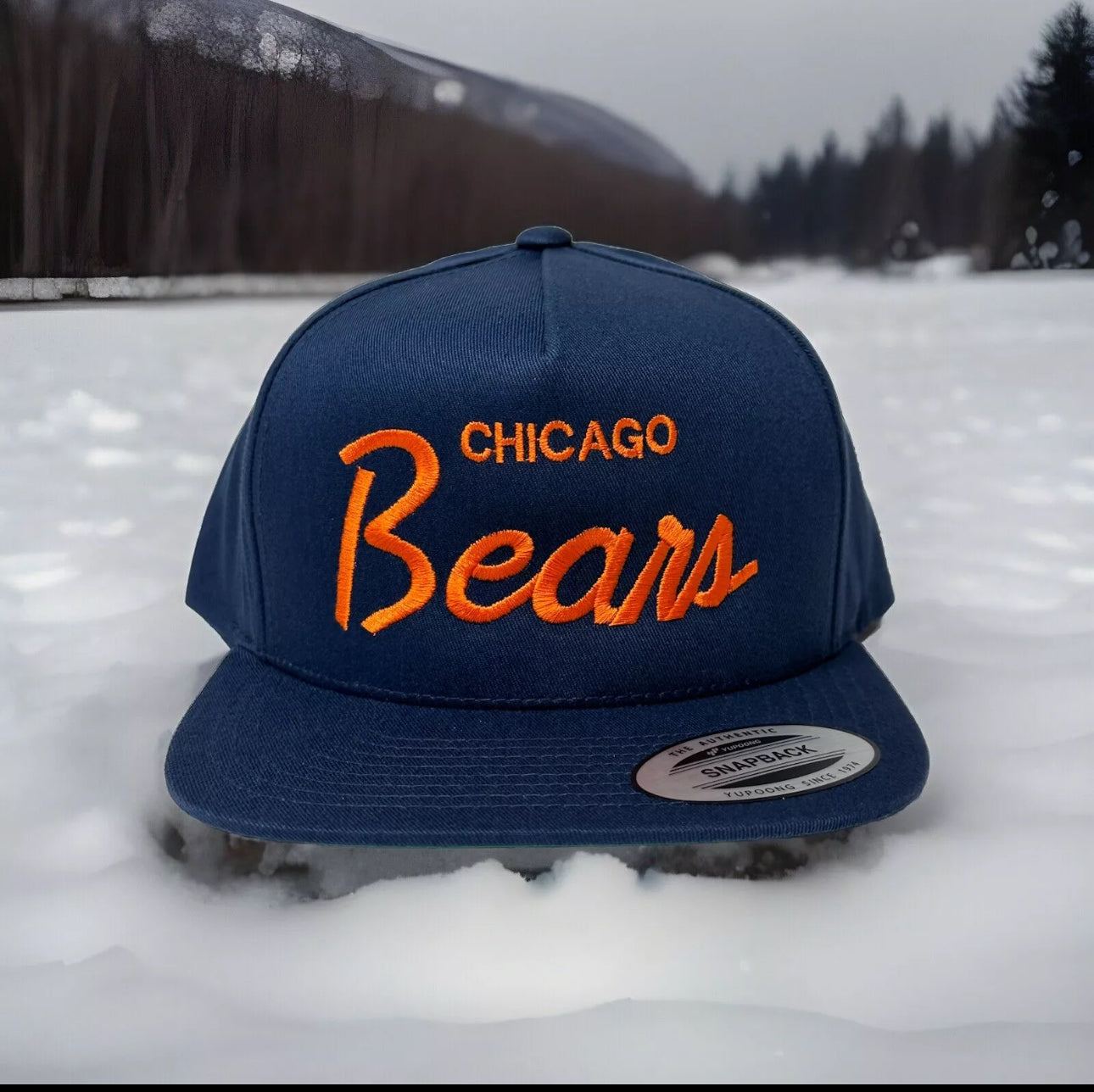 Gorra vintage con cierre a presión de los Chicago Bears, vacaciones navideñas de los años 90, Clark Griswold