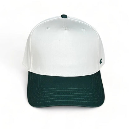Embroidered with Nashville, TN - 3D Raised Embroidery - 100% Cotton 5-Panel Fit - Adjustable Snap-back - Custom item not for resale.